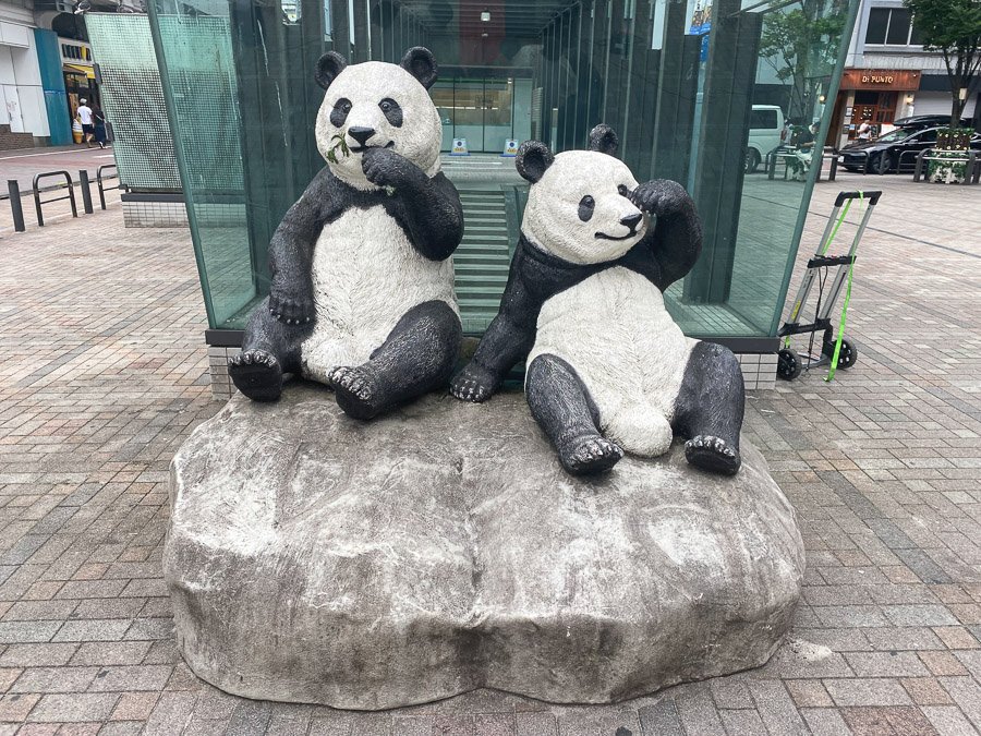 🐼 판다 광장(오카치마치 판다 히로바) 이미지 1